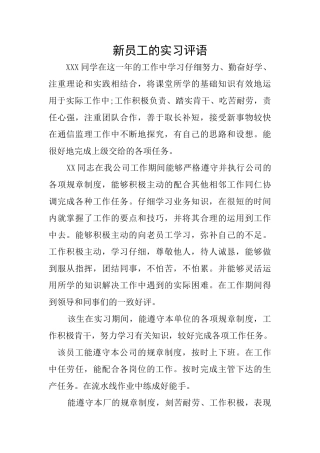 新员工的实习评语