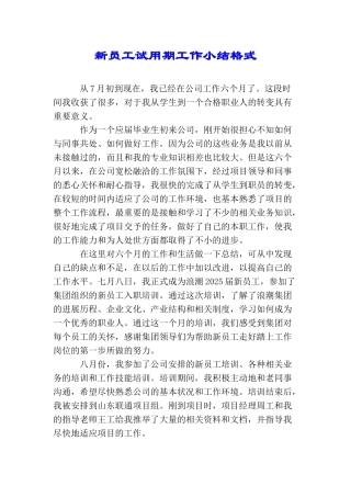 新员工试用期工作小结格式