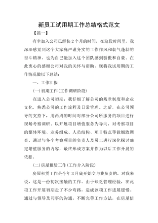 新员工试用期工作总结格式范文