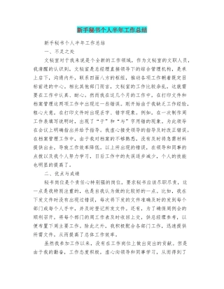 新手秘书个人半年工作总结