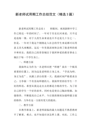 新教师试用期工作总结范文