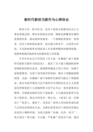 新时代新担当新作为心得体会