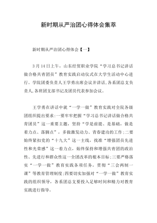 新时期从严治团心得体会集萃