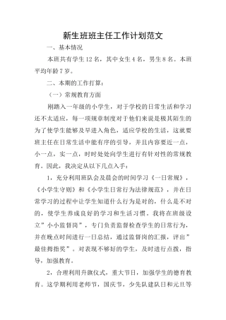 新生班班主任工作计划范文