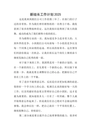 新组长工作计划2025