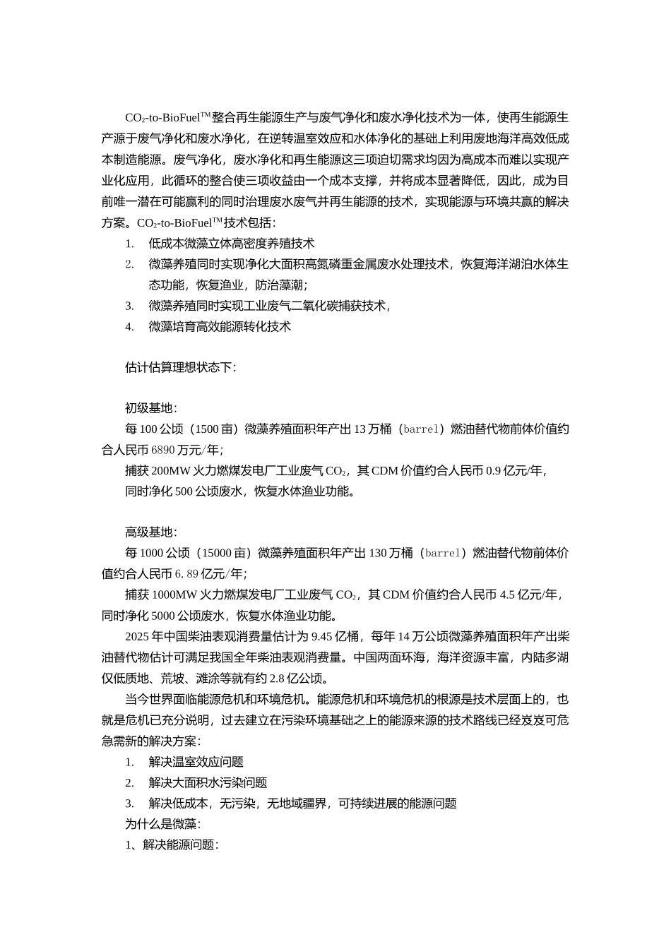 新能源公司创业计划书word格式文档模板_第2页