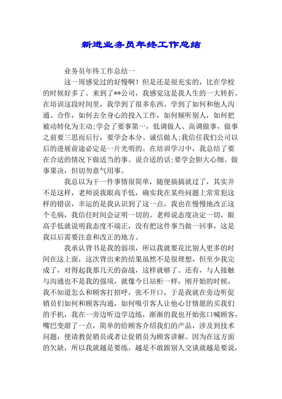 新进业务员年终工作总结_第1页
