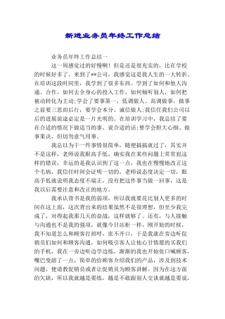 新进业务员年终工作总结