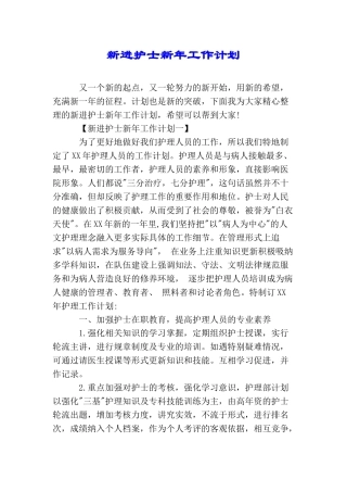 新进护士新年工作计划