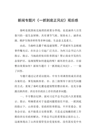 新闻专题片《一抓到底正风纪》观后感