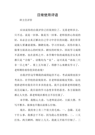日常使用评语