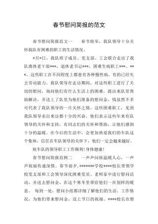 春节慰问简报的范文