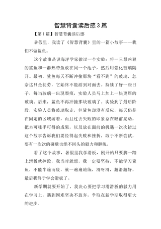 智慧背囊读后感3篇