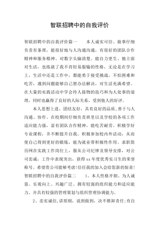 智联招聘中的自我评价