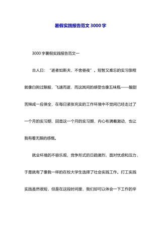 暑假实践报告范文3000字