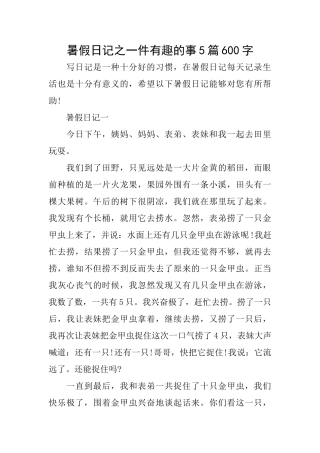 暑假日记之一件有趣的事5篇600字