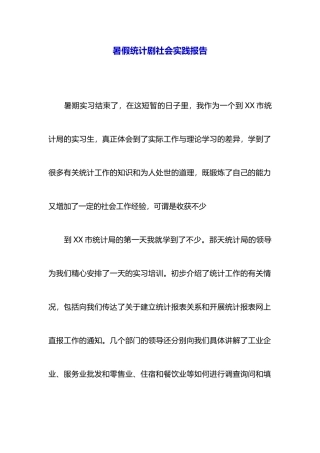 暑假统计剧社会实践报告