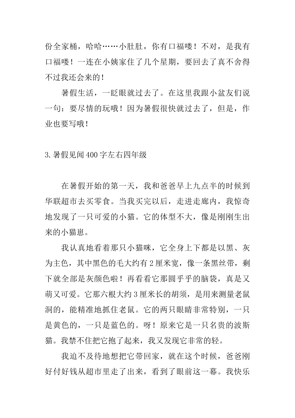 暑假见闻400字左右四年级10篇_第3页