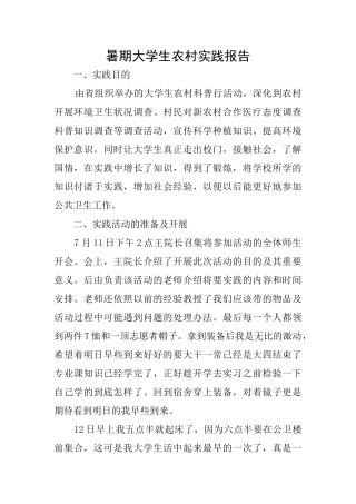 暑期大学生农村实践报告