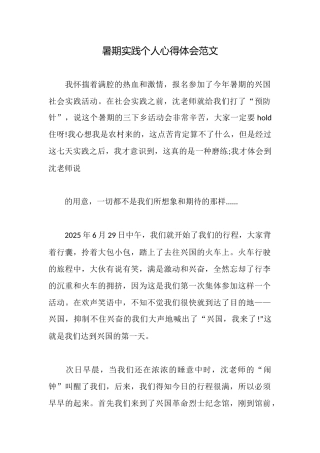 暑期实践个人心得体会范文