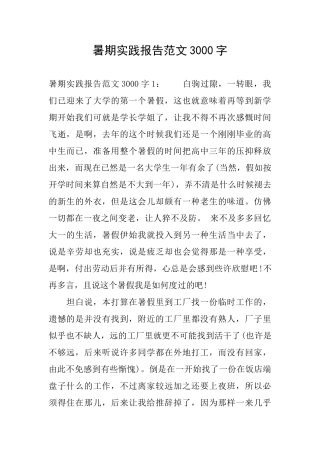 暑期实践报告范文3000字