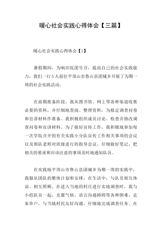 暖心社会实践心得体会