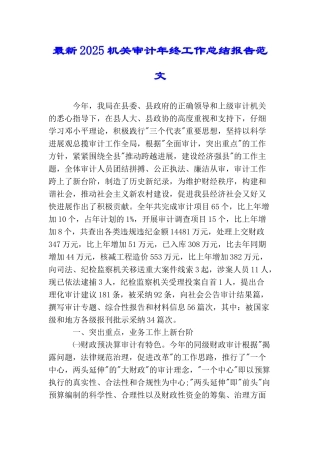 最新2025机关审计年终工作总结报告范文