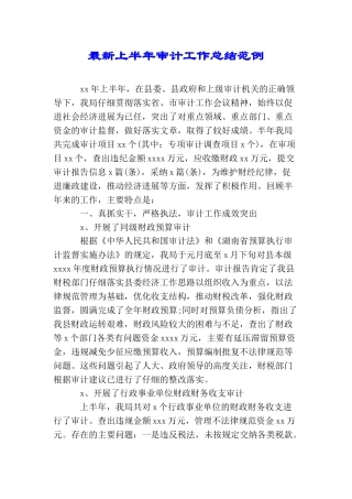 最新上半年审计工作总结范例