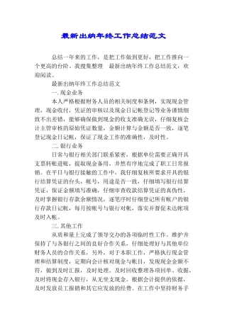 最新出纳年终工作总结范文