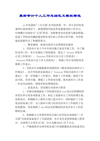 最新审计个人工作总结范文模板精选