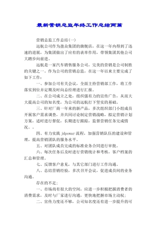 最新营销总监年终工作总结两篇