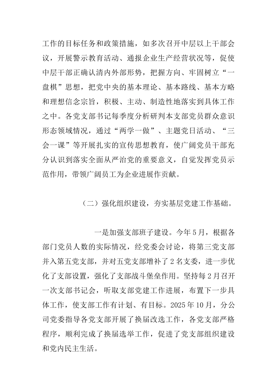 有关党建的工作总结范本2025_第3页