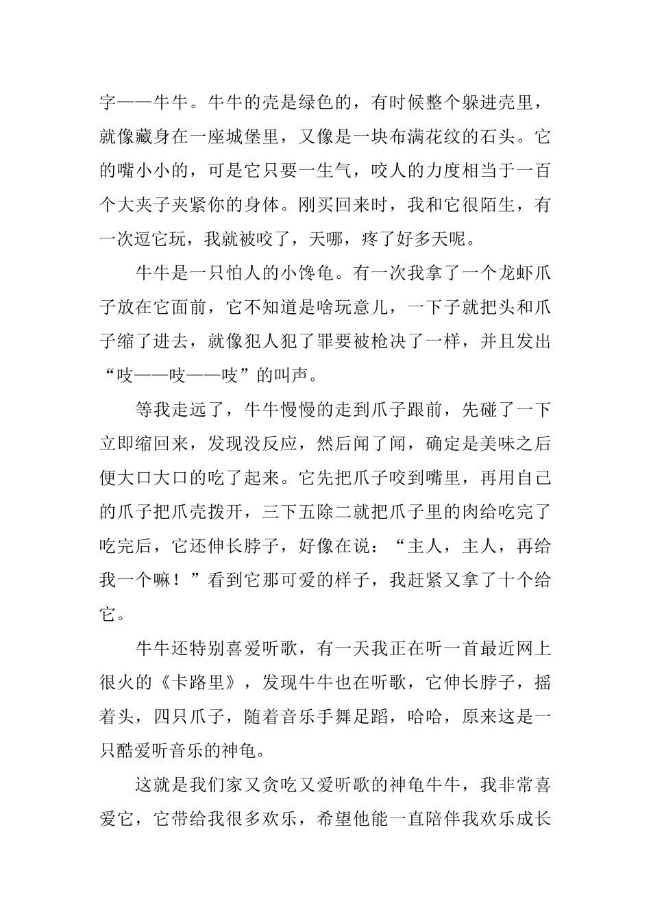 有关小乌龟的观察日记五篇_第3页