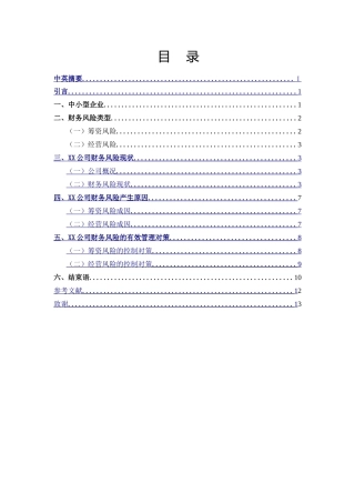 XX中小型企业财务风险的管理研究分析   会计学专业