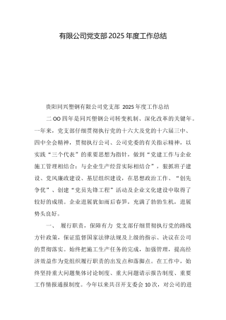 有限公司党支部2025年度工作总结