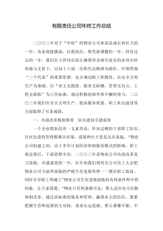 有限责任公司年终工作总结