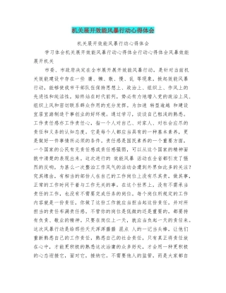 机关展开效能风暴行动心得体会