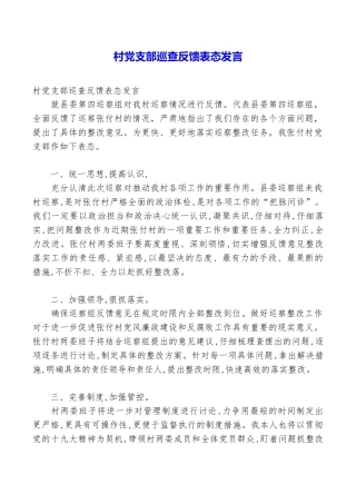 村党支部巡查反馈表态发言