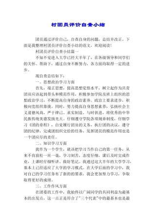 村团员评价自查小结