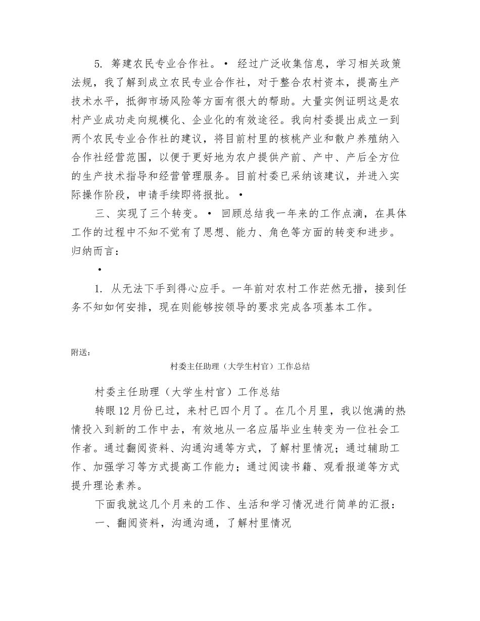 村委主任助理度个人工作总结_第3页