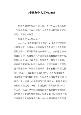 村建办个人工作总结