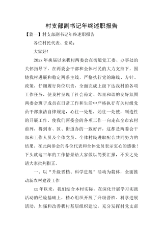 村支部副书记年终述职报告