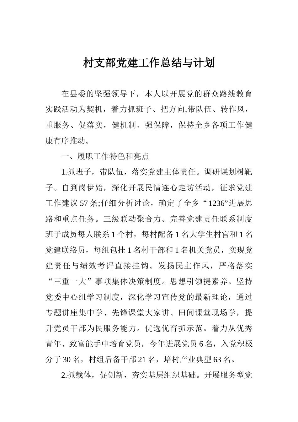 村支部党建工作总结与计划_第1页
