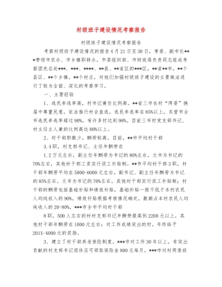 村级班子建设情况考察报告