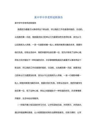 某中学中学教师述职报告