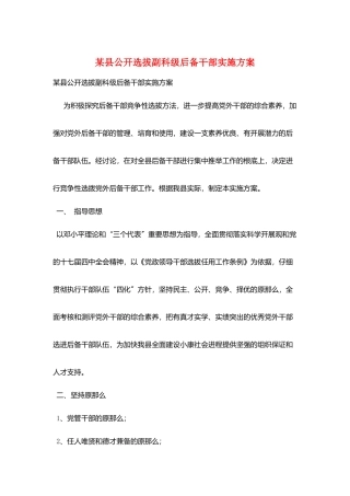 某县公开选拔副科级后备干部实施方案