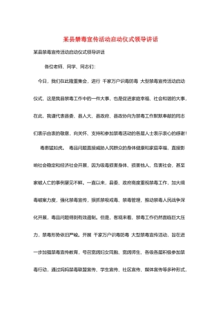 某县禁毒宣传活动启动仪式领导讲话