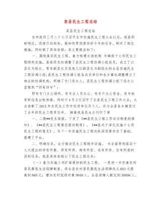 某县民生工程总结