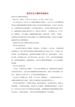 某同志见习期间考核意见