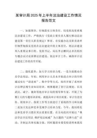 某审计局2025年上半年法治建设工作情况报告范文
